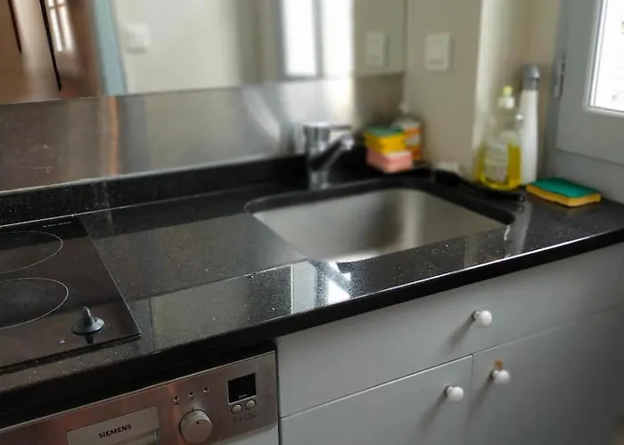 Apartament Logis De Sainte-scarbes *